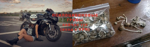 Альфа ПВП Карталы