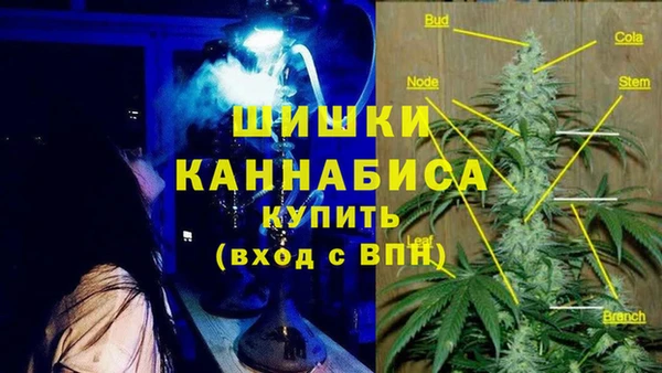 бошки Каменногорск