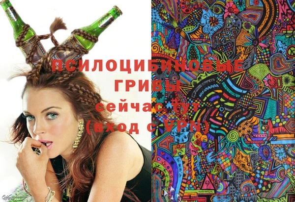 бошки Каменногорск