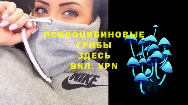 бошки Каменногорск