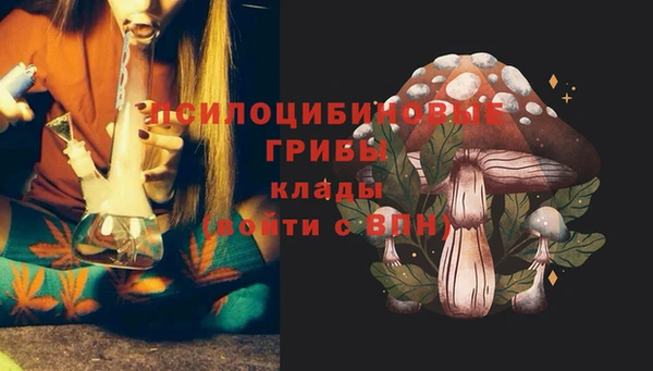 бошки Каменногорск