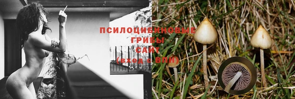 марки lsd Касимов