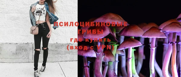 PSILOCYBIN Каменск-Шахтинский