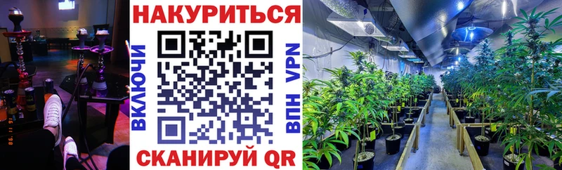 Купить закладки  Новотроицк  Каннабис марихуана 